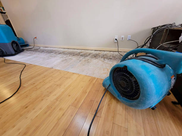 Professional Sewage Cleanup technician working in Sterling, IL